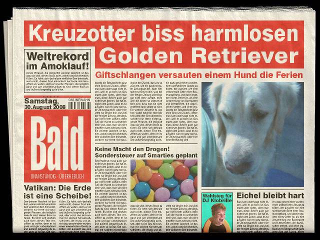 Golden Retriever Paul Froehlich/ Zeitung