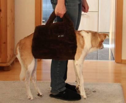 Hunde Tragehilfe in Taschenform fuer Palue, 25 kg