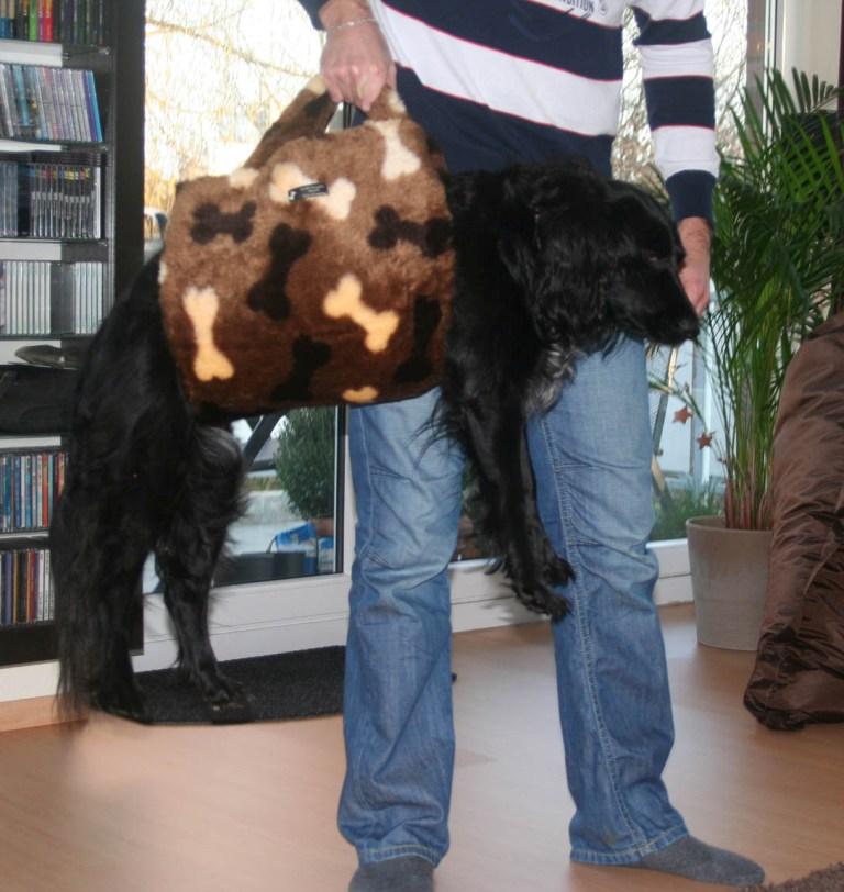 Sina mit Hundetragehilfe in Taschenform